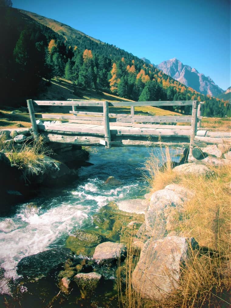 Holzbrücke über einen Bergbach im Schweizerischen Nationalpark, dahinter Lärchen in Herbstfarben und ein Berggipfel.