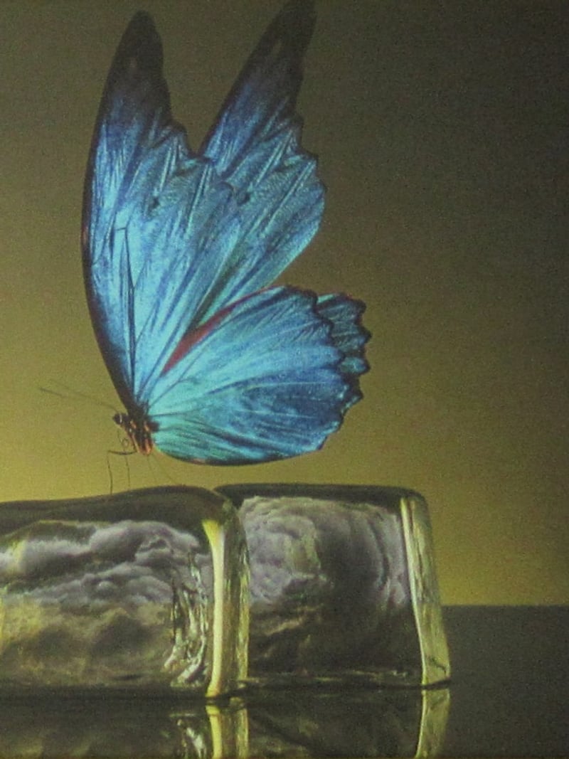 Leinwand in der Stüva: ein blauer Schmetterling auf zwei Eiswürfeln.